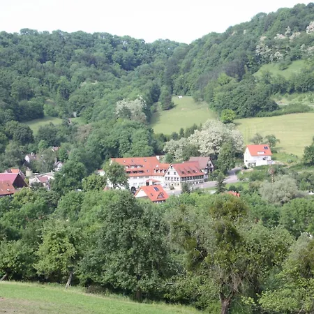 Akzent Goldener Ochsen